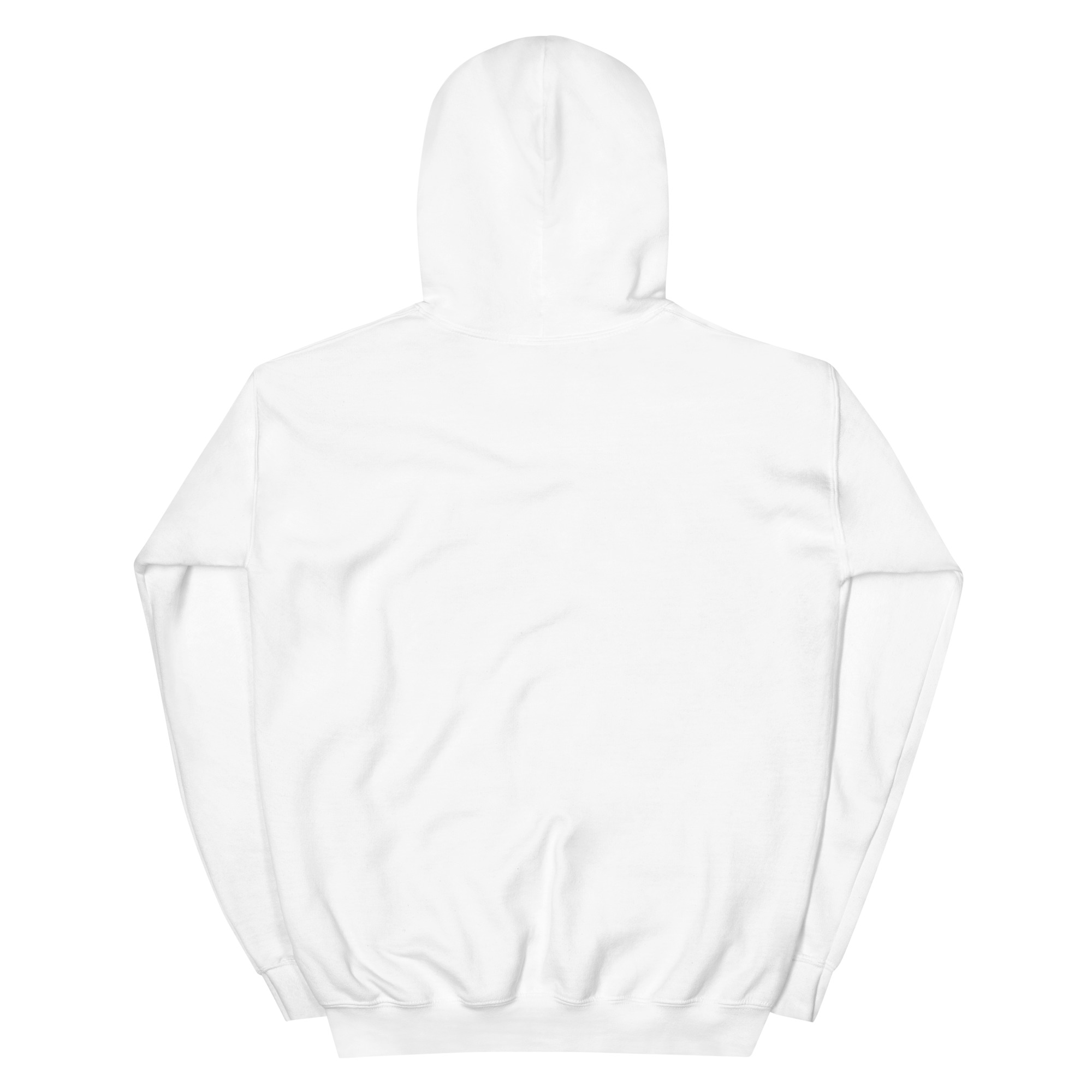 Nathan the CatLady Unisex Hoodie - Image 17